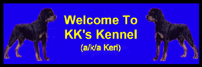 KK's Banner